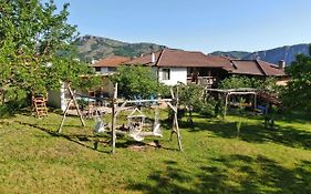 The Old Nest